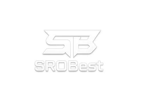 srobest Verified Silkroad Private Server