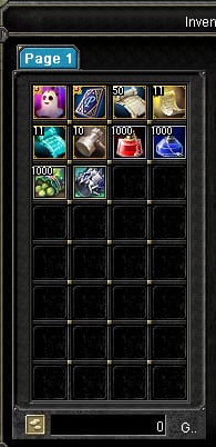StrongSRO Starter Items Inventory